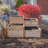 3.5 ft. W x 4 ft. D Tiered Cedar Corner Garden in a Box