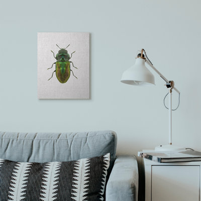 " Beetle Green Yellow Animal "
