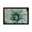 Mint Succulent I by Chelsea Victoria - Print-552063016-561792311