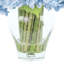 Polysilk Hydrangea Arrangement in Vase-53315512
