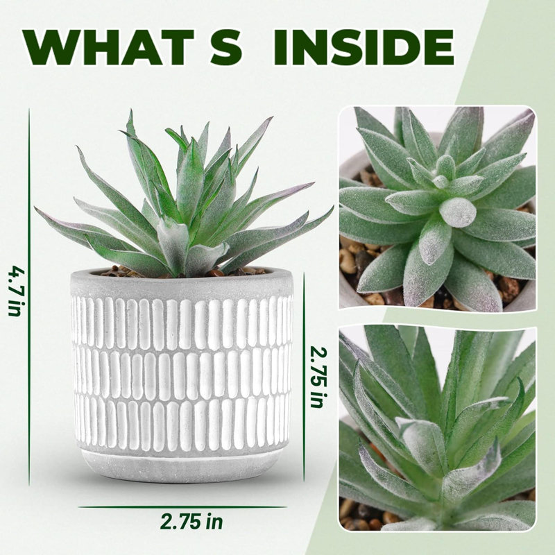 Cloche artificielle ou globe d'eau Ladeja Succulents Plants