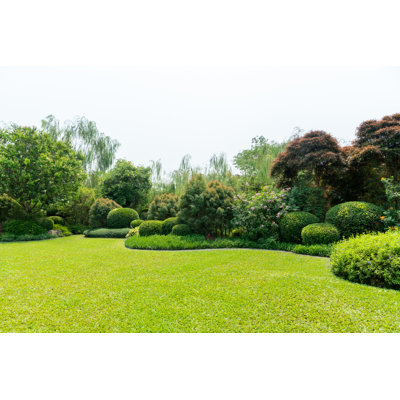 " Beautiful Landscape Garden "