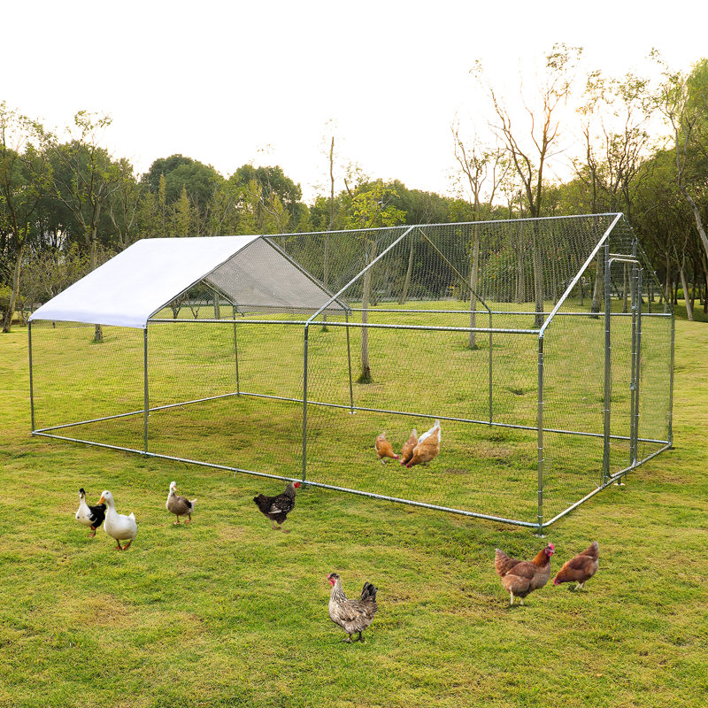 Bourdieu Chicken Coop with Chicken Run, 78.8'' H X 118.80'' W X 236.4'' D