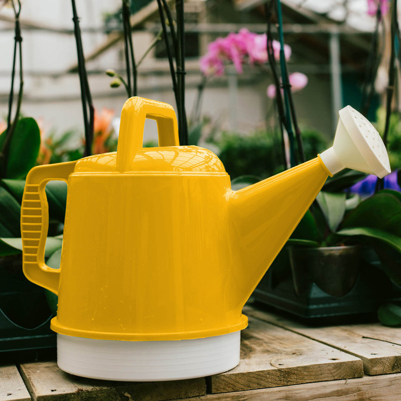 Arrosoir d'intérieur / extérieur en plastique 2 gallons Deluxe, Jaune terreux