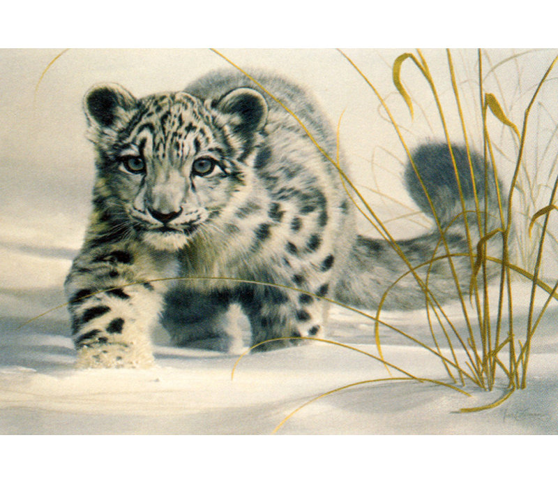 Snow Leopard Cub