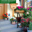 Single Post Handrail for 1 or 2 Steps Stair Railing Handrail for Garden Yard (1 pack)