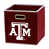 Texas A&M Aggies