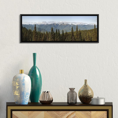 " Mountain Range, Olympic Mountains, Hurricane Ridge, Olympic National Park, Washington State, USA " by Panoramic Images