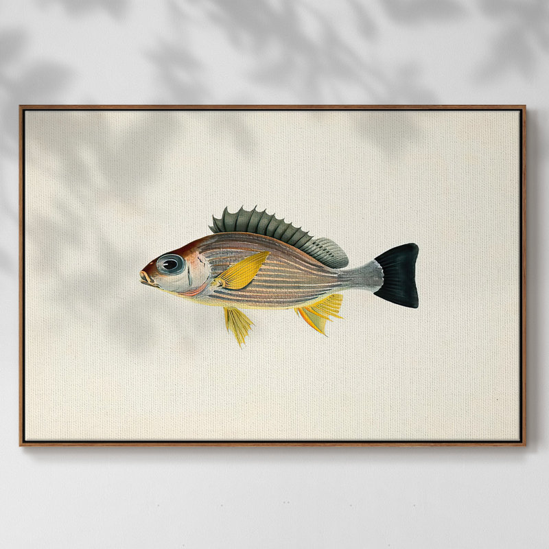 " Tropical Fish Collection III ", 27" H x 41" W x 2" D, Walnut Framed