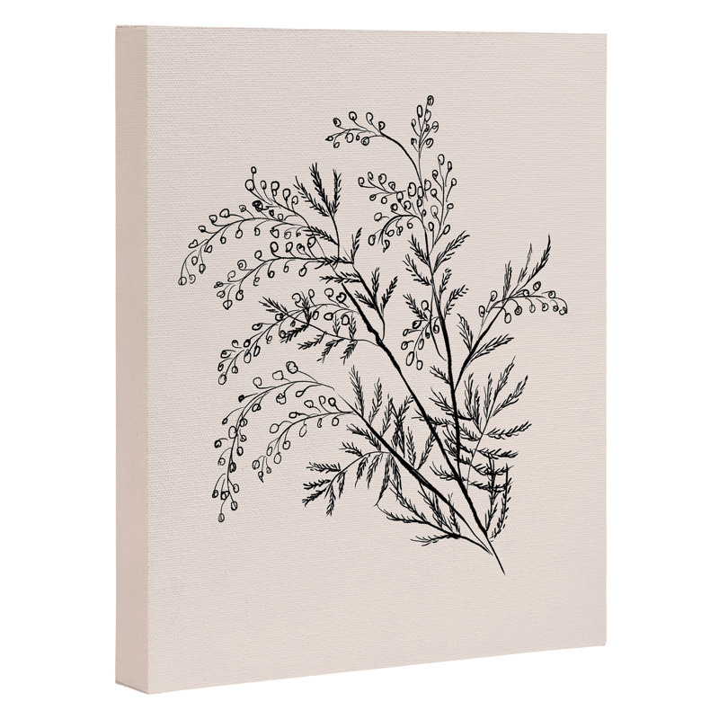 Anis Illustration Minimal Acacia Branch, reproduction d'art encadrée, H 10 po x l 8 po x P 1,25 po, Toile tendue