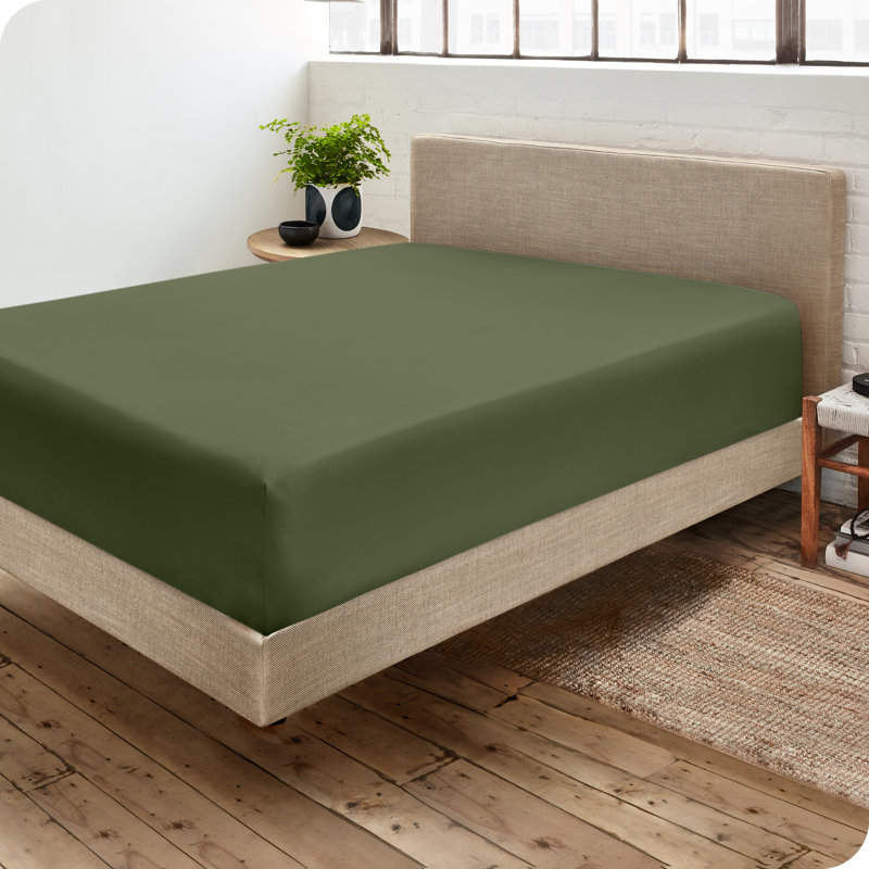 Drap-housse en microfibre, Cyprès, Drap-housse pour lit simple TG