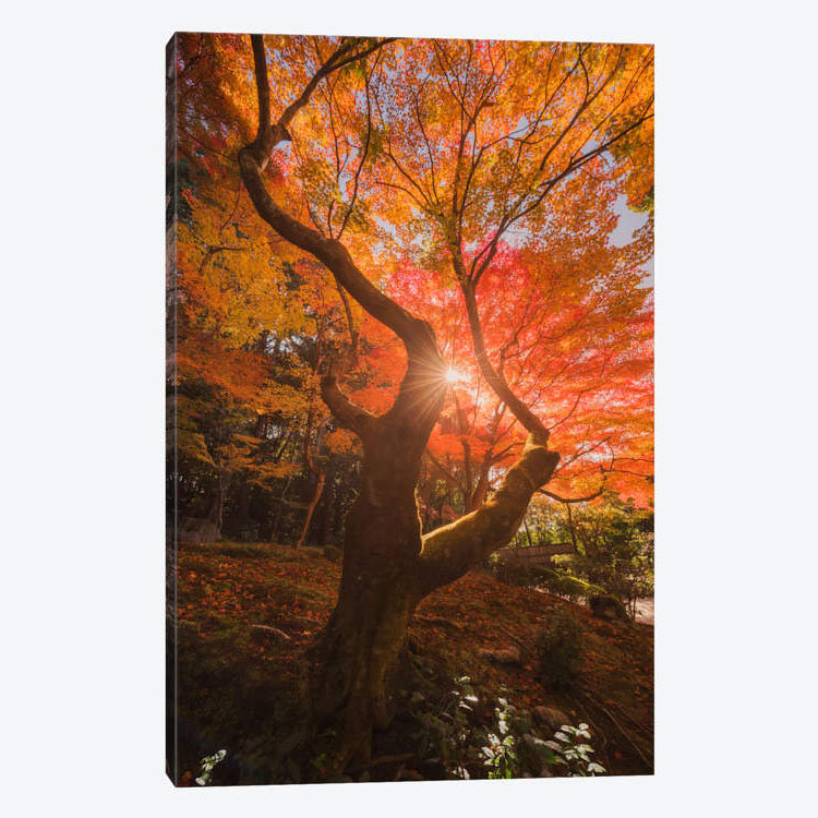 Reproduction de photo sur toile, H 40 po x l 26 po x P 1,5 po, Toile tendue, Pas de tapis