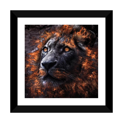 " Alpha " by Paul Haag