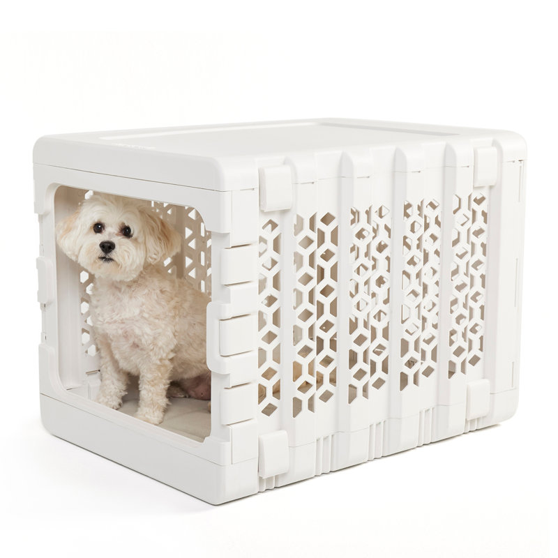 PAWD® | Modern Dog & Pet Crate - Caisse pliable pour chiens, Moyen (H 21 x l 20 x L 26), Blanc