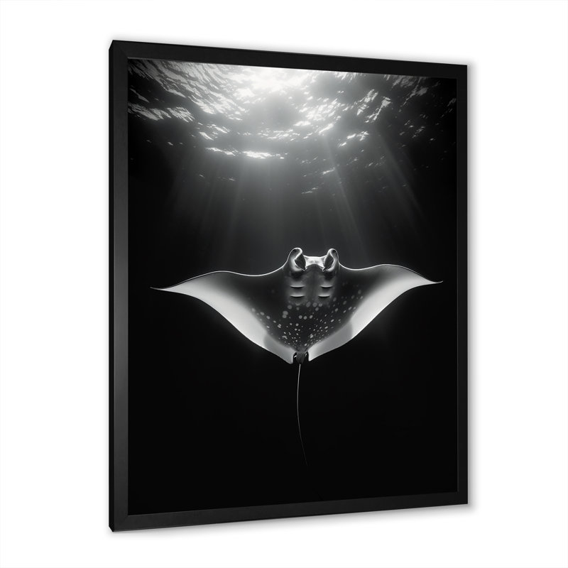 Reproduction d'art sur toile Giant Oceanic Manta, H 40 po x l 30 po x P 1,5 po, Cadre simple noir