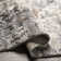 Medved Abstract Indoor Rug