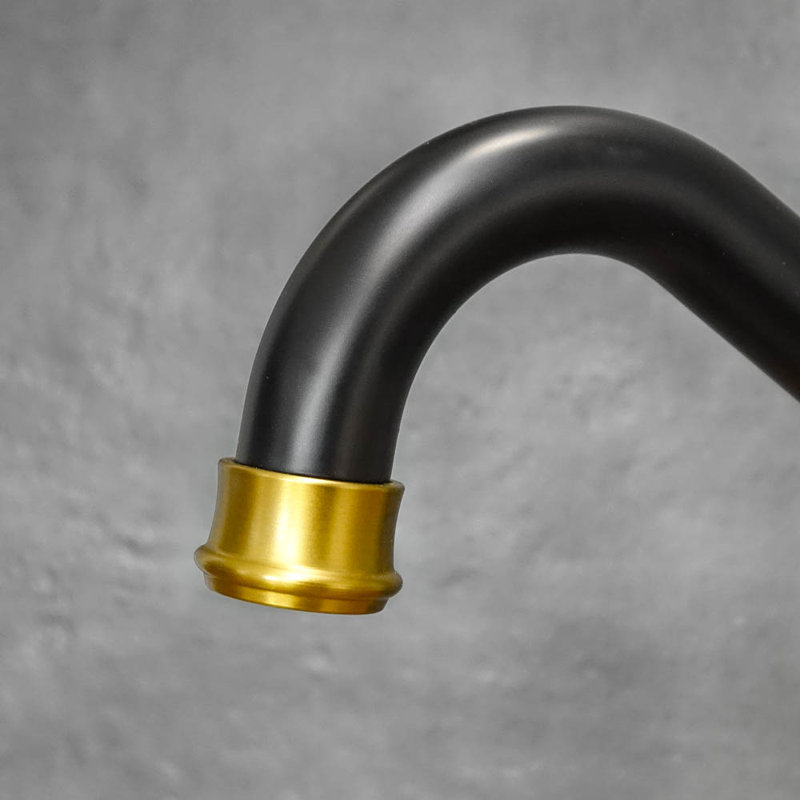 Belfry Kitchen Kitchen Faucet, Black
