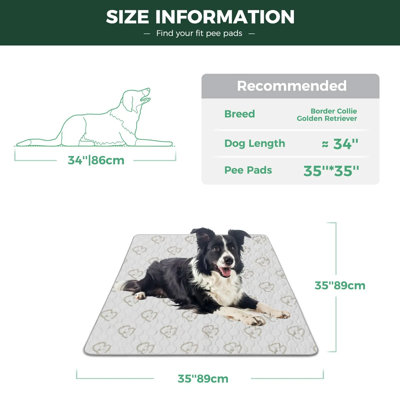 FXW Washable Pee Pads for Dogs, Leak-Proof & Non-Slip, Specifically Designed for 42inch Cages, 27" x 41" Rectangle, Khaki, 1 Pack