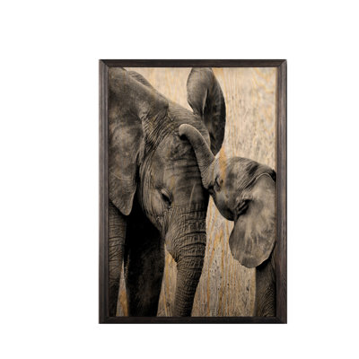 Perry Single Picture Frame Print on Canvas