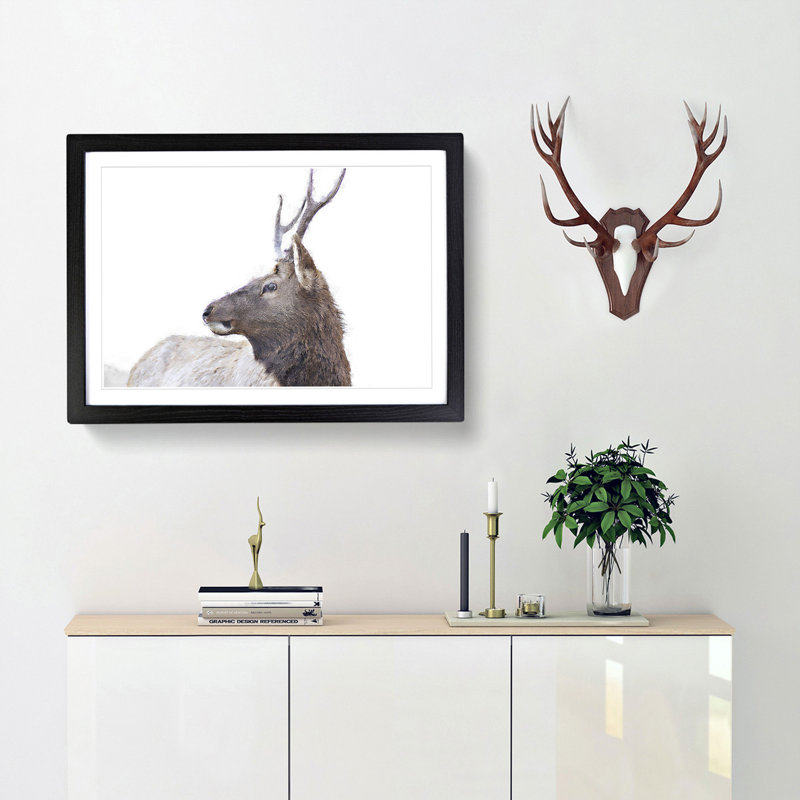 Young Elk - Picture Frame Painting Print, 36cm H x 48cm W x 2cm D, Black Framed