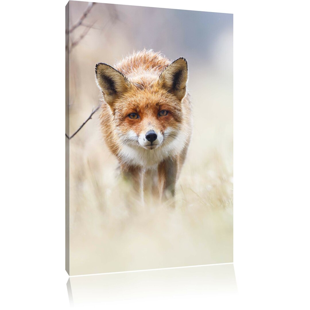 Leinwandbild Schleichender Fuchs