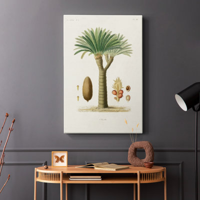 Antique Tree with Fruit V -Gallery Wrapped Cavas