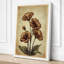Carnation Studies Botanical - Wrapped Canvas-610171124-610171150