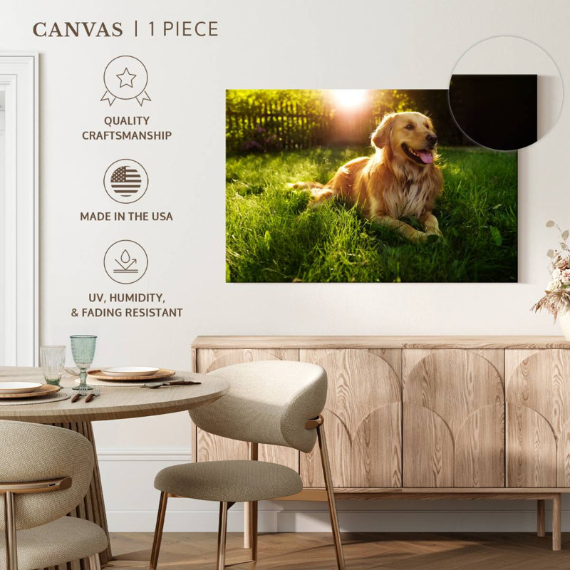 Golden retriever Brampt ensoleillé, H 26 po x l 39 po