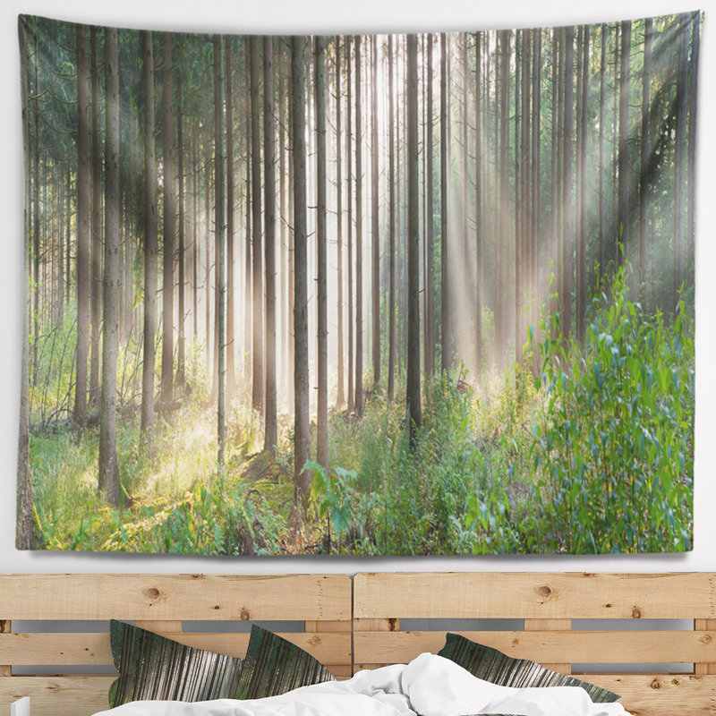Paysage, forêt verte, brume, tapisserie panoramique, H 50 po x l 60 po