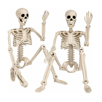 2 Pack 36" Halloween Skeletons Decoration,Human Plastic Skeleton with Full Body Posable Joints