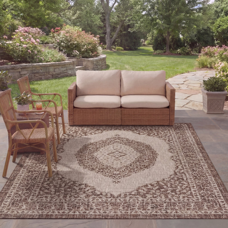 Amedee Performance Oriental Indoor/Outdoor Area Rug, Rectangle 8' x 11'