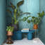 Eclectic 33cm x 70cm Wallpaper Roll-111809737
