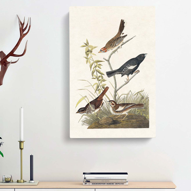 Finches & Sparrows - Wrapped Canvas Painting, 60cm H x 40cm W x 3cm D