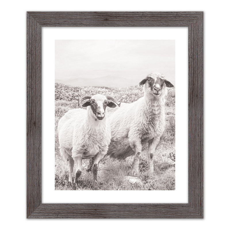 Sheep On Hill, reproduction encadrée, H 24 po x l 20 po x P 0,75 po, gris