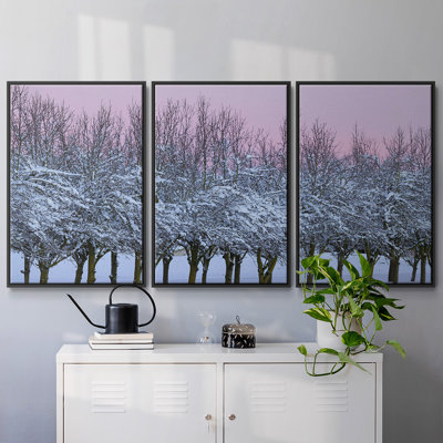 " Winter's Beauty " 3 - Pieces