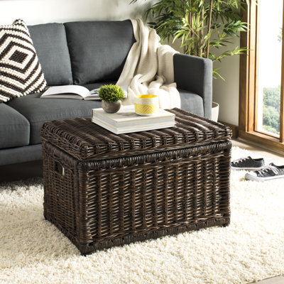 Elijah 30.7" Wicker Storage Trunk