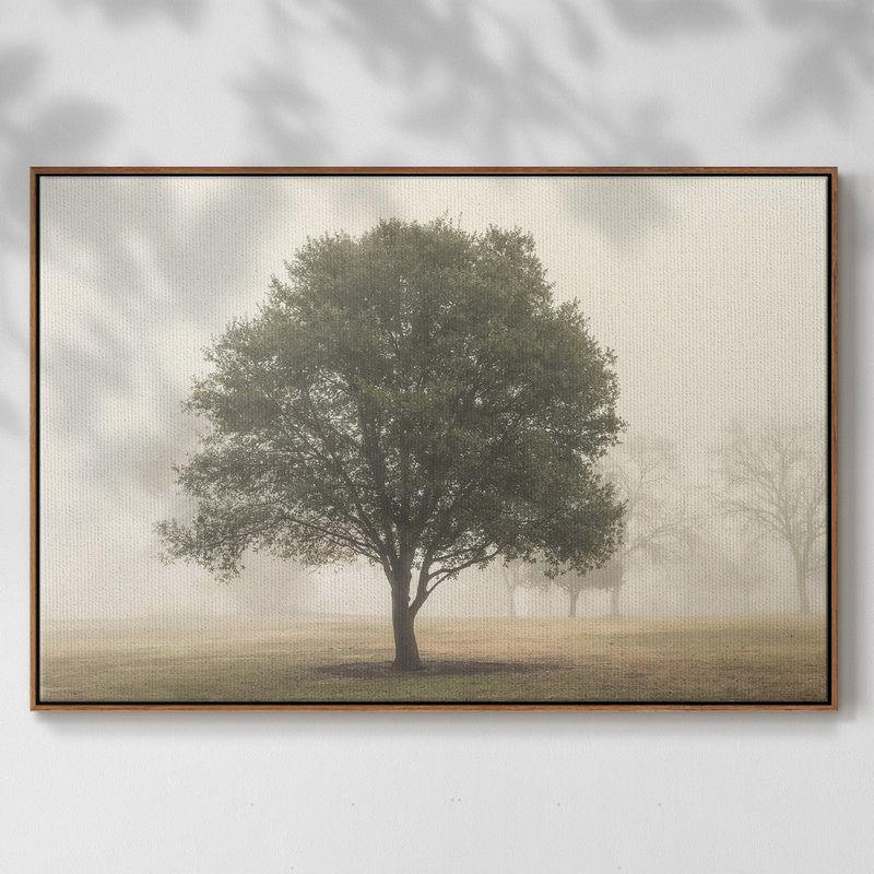 «Trees in the Fog I», reproduction encadrée sur toile, H 17 po x l 25 po x P 2 po, Noyer