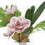 Magnolia, Philo et feuille d'orchidée disposés dans un vase miroir en verre