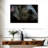 Asian Elephant Eye-107705501