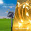 Guirlande solaire 100 lumières-692960957