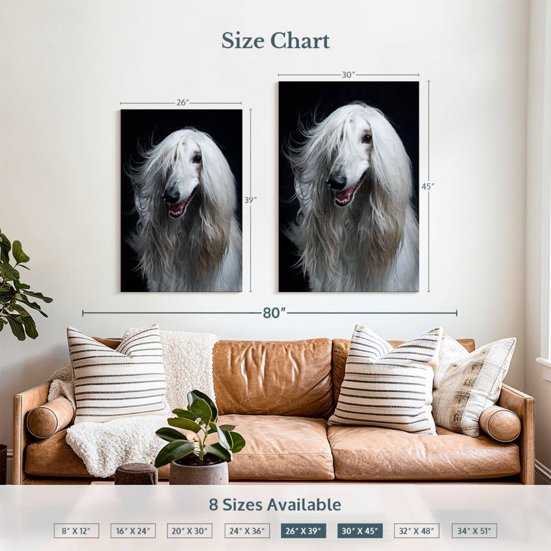 Brampt Long Haired Afghan Hound, 45" H x 30" W