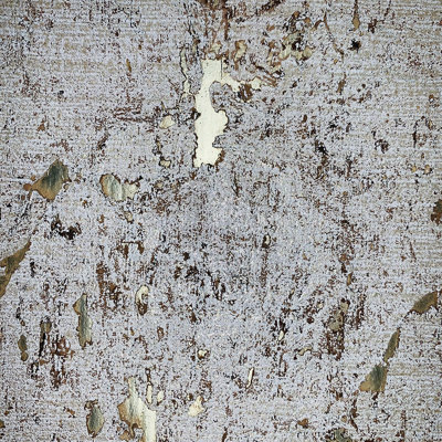 Freda Metallic Wallpaper Roll