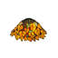 Dome Lamp Shade