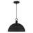 Braylon 1-Light Matte Black Pendant Light