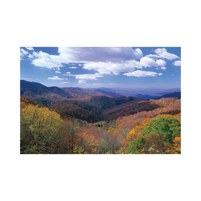 Deciduous Forest In The Autumn Form Thunderstruck Ridge Overlook, Blue Ridge Parkway, North Carolina by Tim Fitzharris - Wrapped Canvas Print