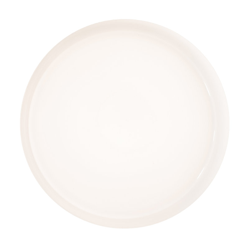 1 - Light Flush Mount