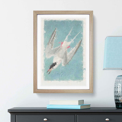 Roseate Tern Bird by John James Audubon - Picture Frame Painting Print