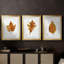 Étude de feuilles d'automne I - Impression sur mesure encadrée de qualité supérieure - 3 pièces-158481208-158481210