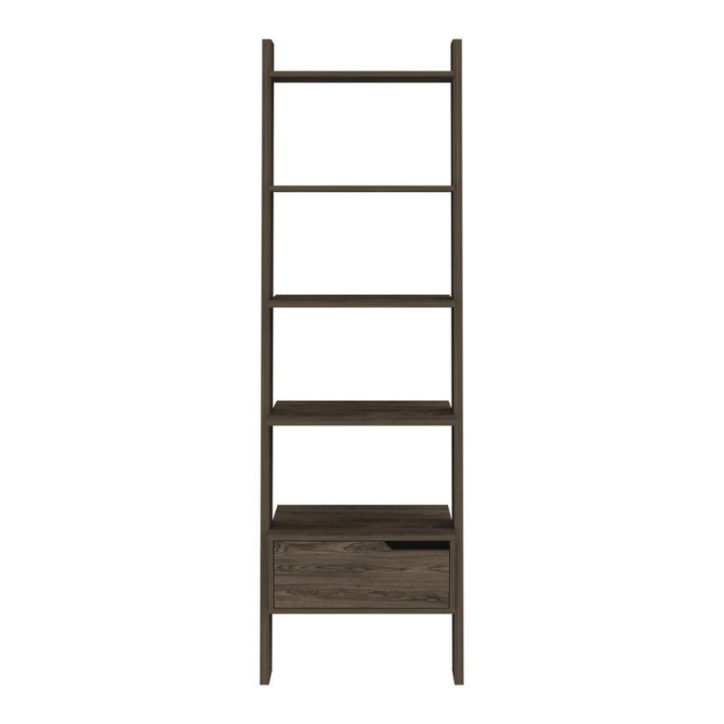 Ashunti Ladder Bookcase