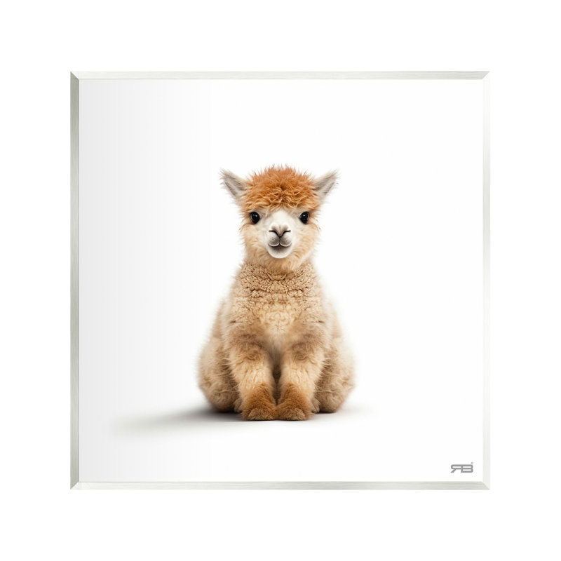 «Baby Alpaca Portrait» par RB